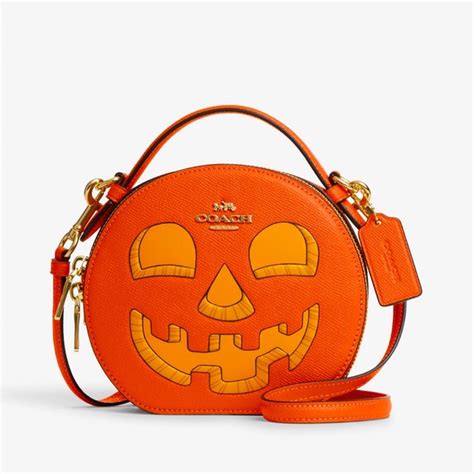 coach pumpkin bag